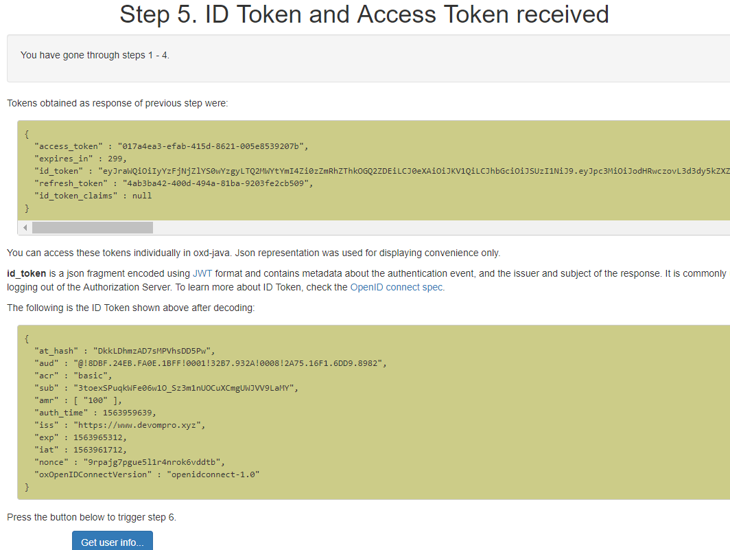 Display Access Token